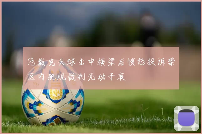 范戴克头球击中横梁后愤怒投诉禁区内犯规裁判无动于衷